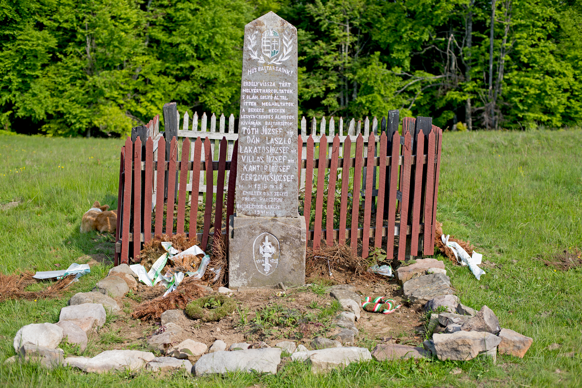 Cimitirul Honvezilor - Honvédsírok - Honvéd cemetery